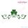 Irish Frame 2 Flourish Design - Large
