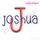 Joshua Adorable Whimsical Handwritten Font - Great for boys & girls!