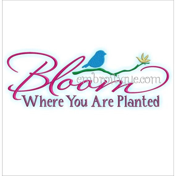 Bloom Where You Are Planted Home Decor Design