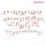 Buttercup Calligraphy Monogram Super Set Medium - ALL ALTERNATES INCLUDED!