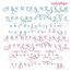 Buttercup Calligraphy Monogram Super Set Medium - ALL ALTERNATES INCLUDED!