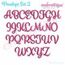 Penelope Super Set - Exclusive Calligraphy Script Monogram Alphabet Font for Machine Embroidery, 3 image